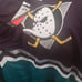 Mighty Ducks jersey