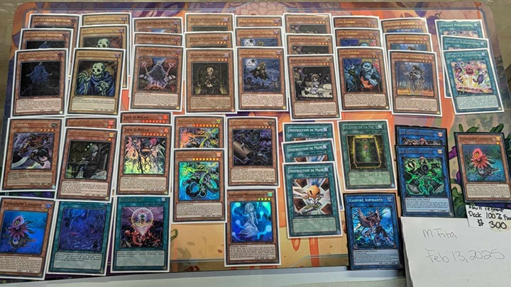 Yugioh 100 percent French skull servant deck