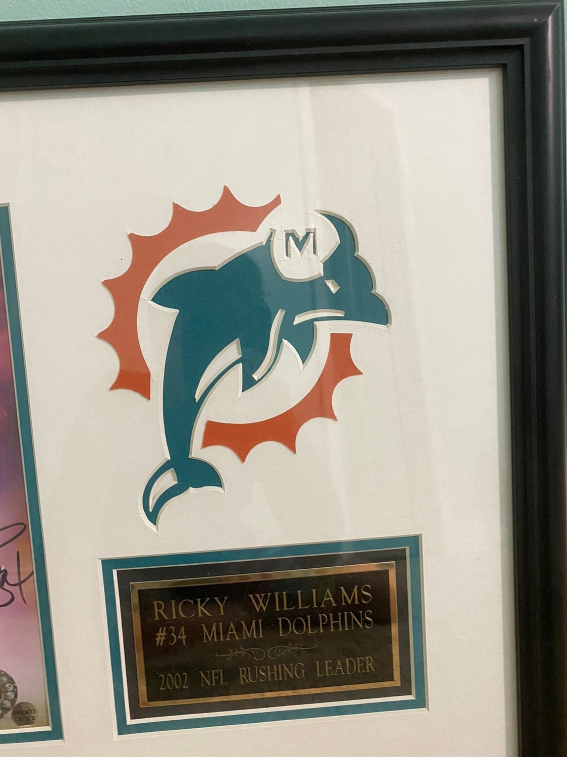 Nfl miami dolphins officail sigened rick