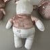 Disney x Samantha Thavasa Winnie The Pooh Limited Edition Velvety Charm Plush
