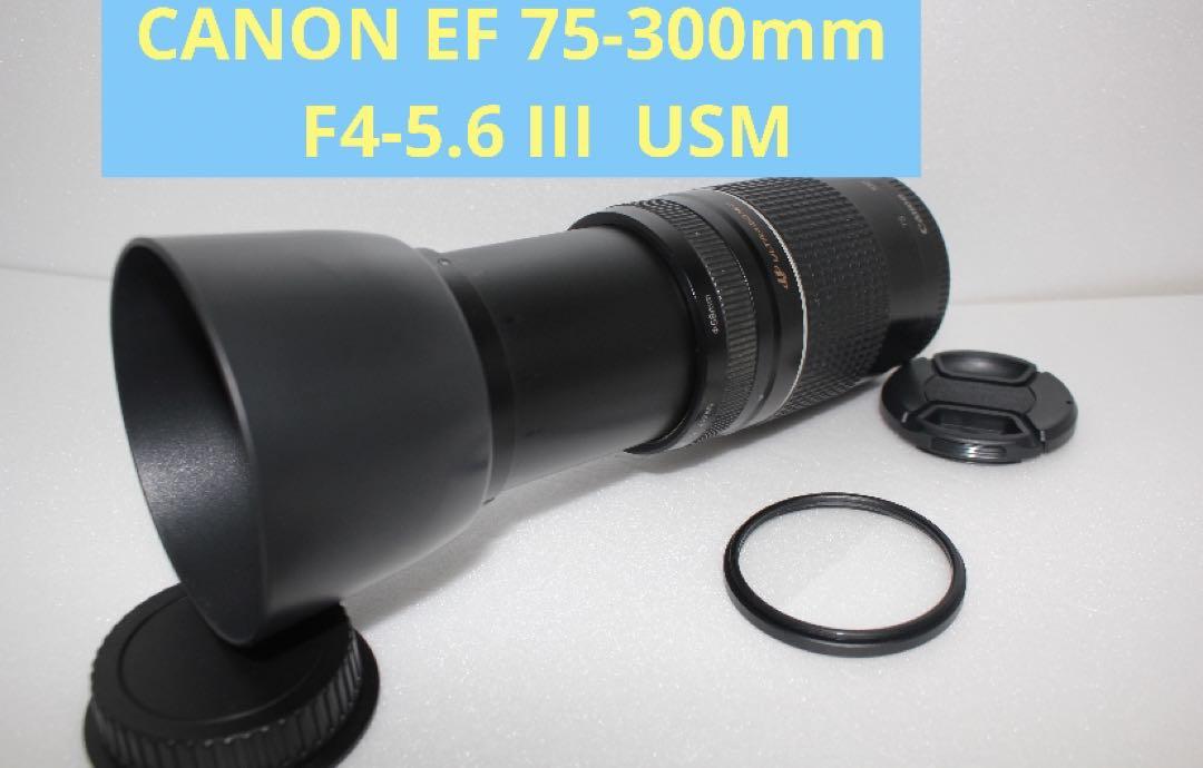 Premium Quality / Powerful 300mm / With Hood / Canon EF75-300mm