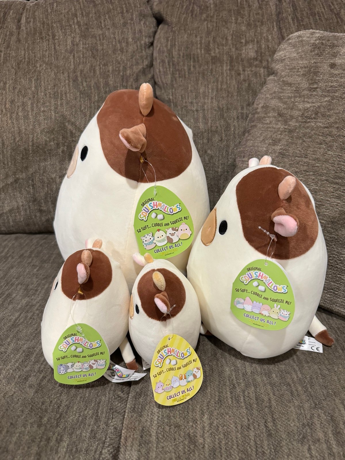 Squishmallow bundle