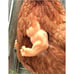 Fist Chicken 1Pcs Baby Chicken Fist Chicken Strong Chicken Arms Made in Texas U