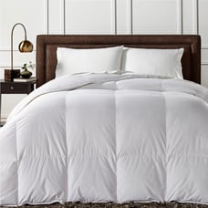 Charter Club Heavy Down Queen comforter
