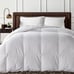 Charter Club Heavy Down Queen comforter
