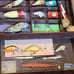Vintage fishing lures and tackle in a Metal Kenndy tackle box!