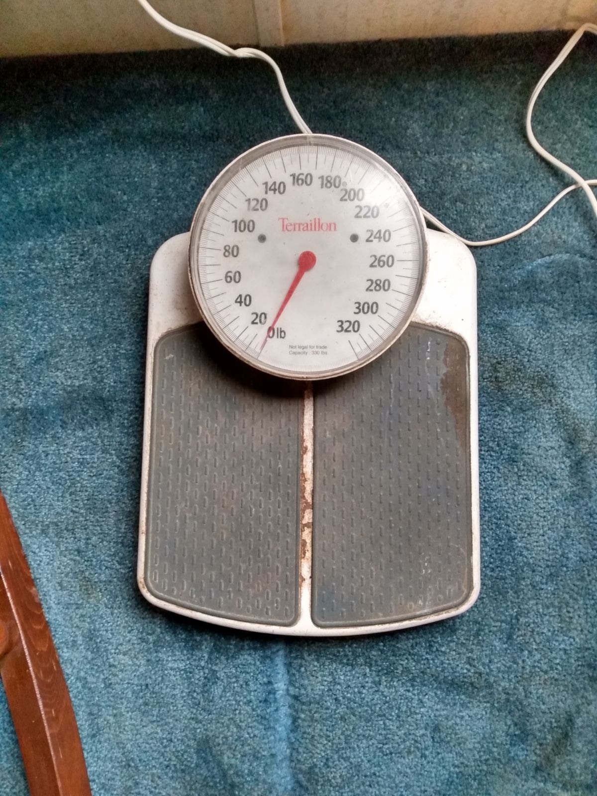 Terrallion scales vintage