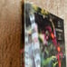 Terri Weifenbach Photo Book