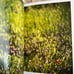 Terri Weifenbach Photo Book