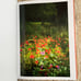 Terri Weifenbach Photo Book