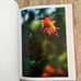 Terri Weifenbach Photo Book