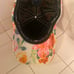 Robin Ruth Tokyo Hat