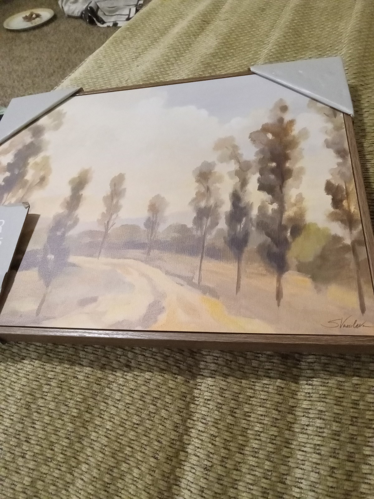 Poplar Trees By Road Print
