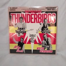 SEALED The Fabulous Thunderbirds - Girls Go Wild - Vinyl LP - Chrysalis Original