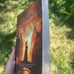 *NEW* The Remnant Chronicles (3 books - Full set)