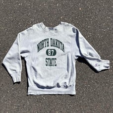 Champion Reverse Weave Sweatshirt, Made in USA, 90s