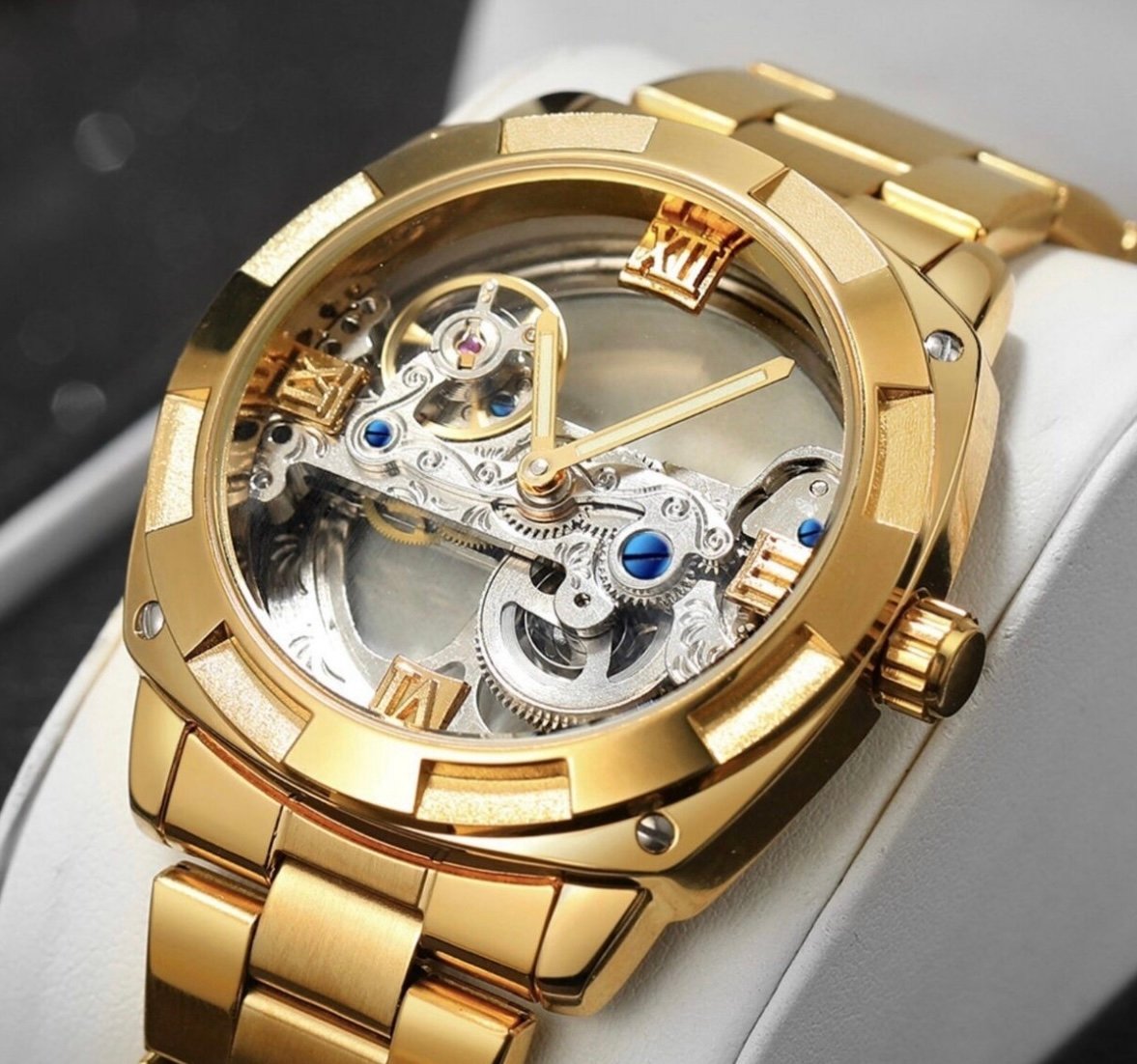 Forsining watch, brand new skeleton watch/mechanical.