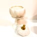 Pumpkin Candle & Pumpkins Set