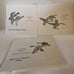 UTAH #2. #3.#4 1987 STATE DUCK .STAMP PRINT PINTAILS Arthur G. Dave Chapple, Jim