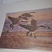 UTAH #2. #3.#4 1987 STATE DUCK .STAMP PRINT PINTAILS Arthur G. Dave Chapple, Jim