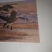 UTAH #2. #3.#4 1987 STATE DUCK .STAMP PRINT PINTAILS Arthur G. Dave Chapple, Jim