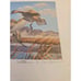 UTAH #2. #3.#4 1987 STATE DUCK .STAMP PRINT PINTAILS Arthur G. Dave Chapple, Jim
