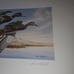 UTAH #2. #3.#4 1987 STATE DUCK .STAMP PRINT PINTAILS Arthur G. Dave Chapple, Jim