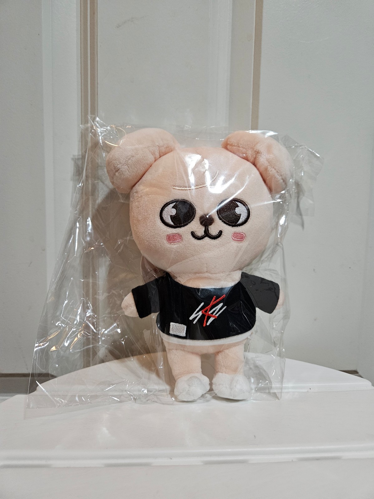 Stray Kids SKZOO PuppyM Official Plush Skz's Magic School