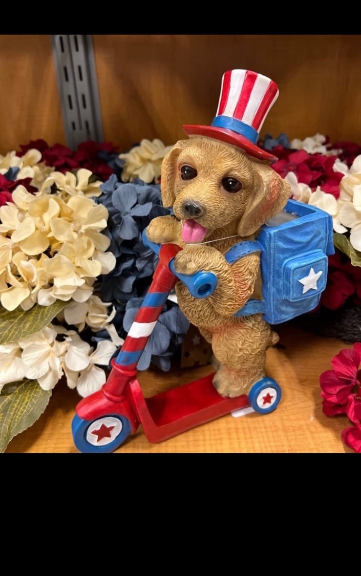 super cute! golden retriever 4th of july scooter