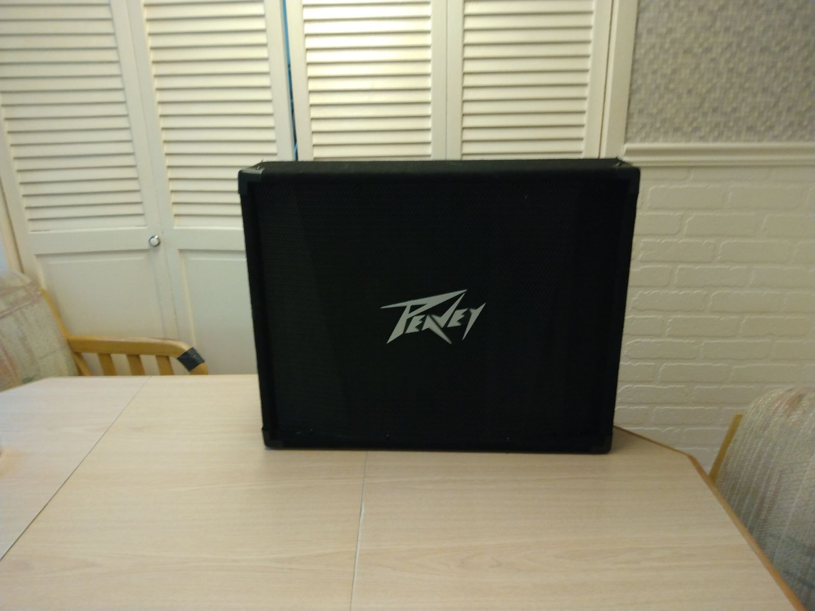 Peavey PV 12M Speaker