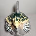 Sea Turtle Teapot Ceramic Kitchen Décor Blue Sky Clayworks Heather Goldmine 2017