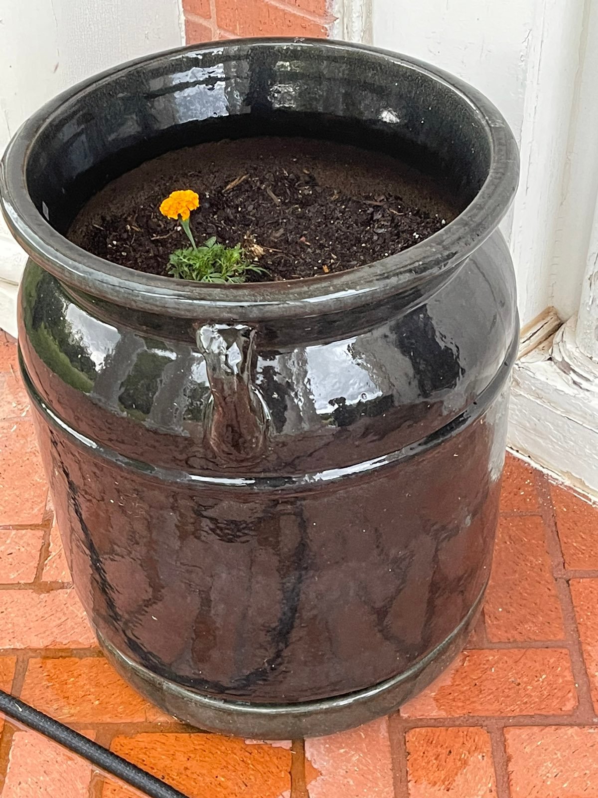 Two ceramic planters for outdoor or insude