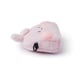 BT21 Official Merchandise Cooky Character Cute Mini Crossbody Pouch Gift