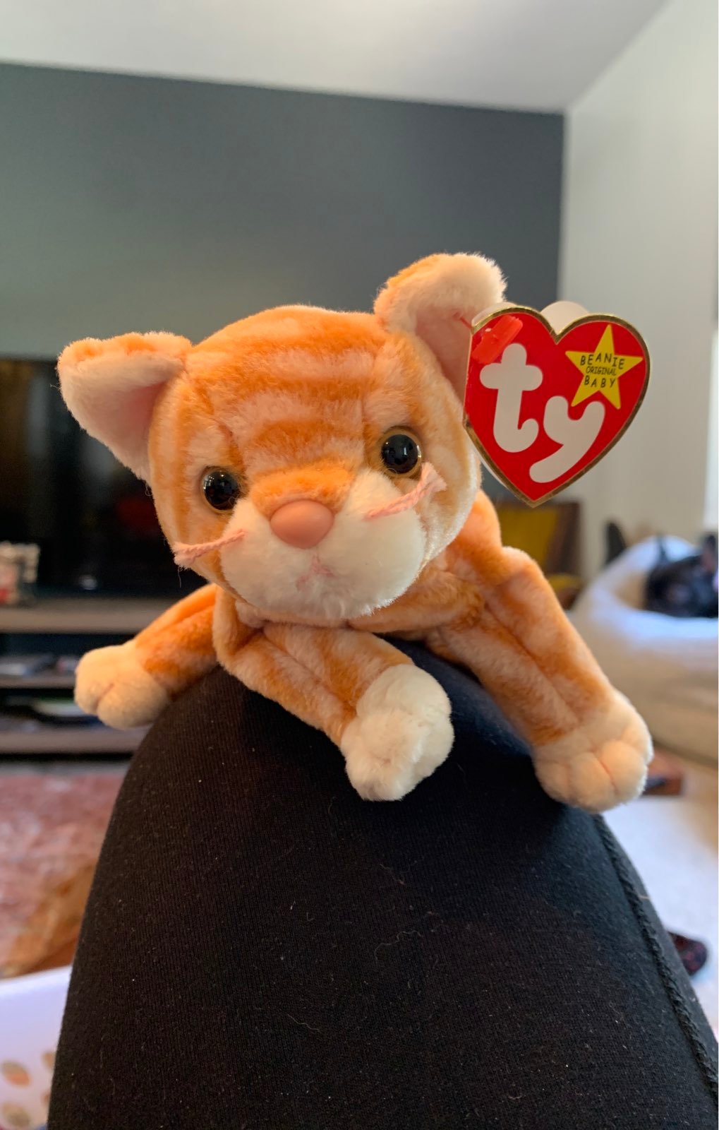 Ty Beanie Babies Amber The Cat original