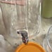 Beverage Dispenser/Cooler lot of 13