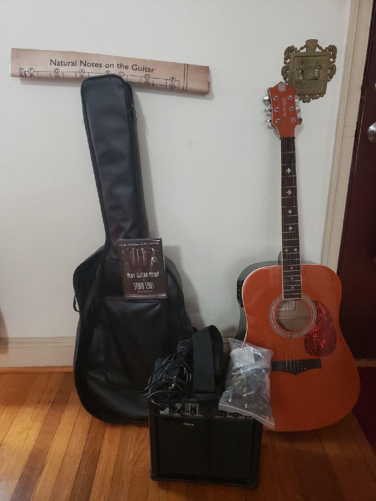 Randy's Jackson Deluxe Acoustic-Electr