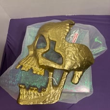 Gold tone metal skull wall, art