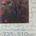 Disney Frozen II 1000-piece jigsaw puzzle.