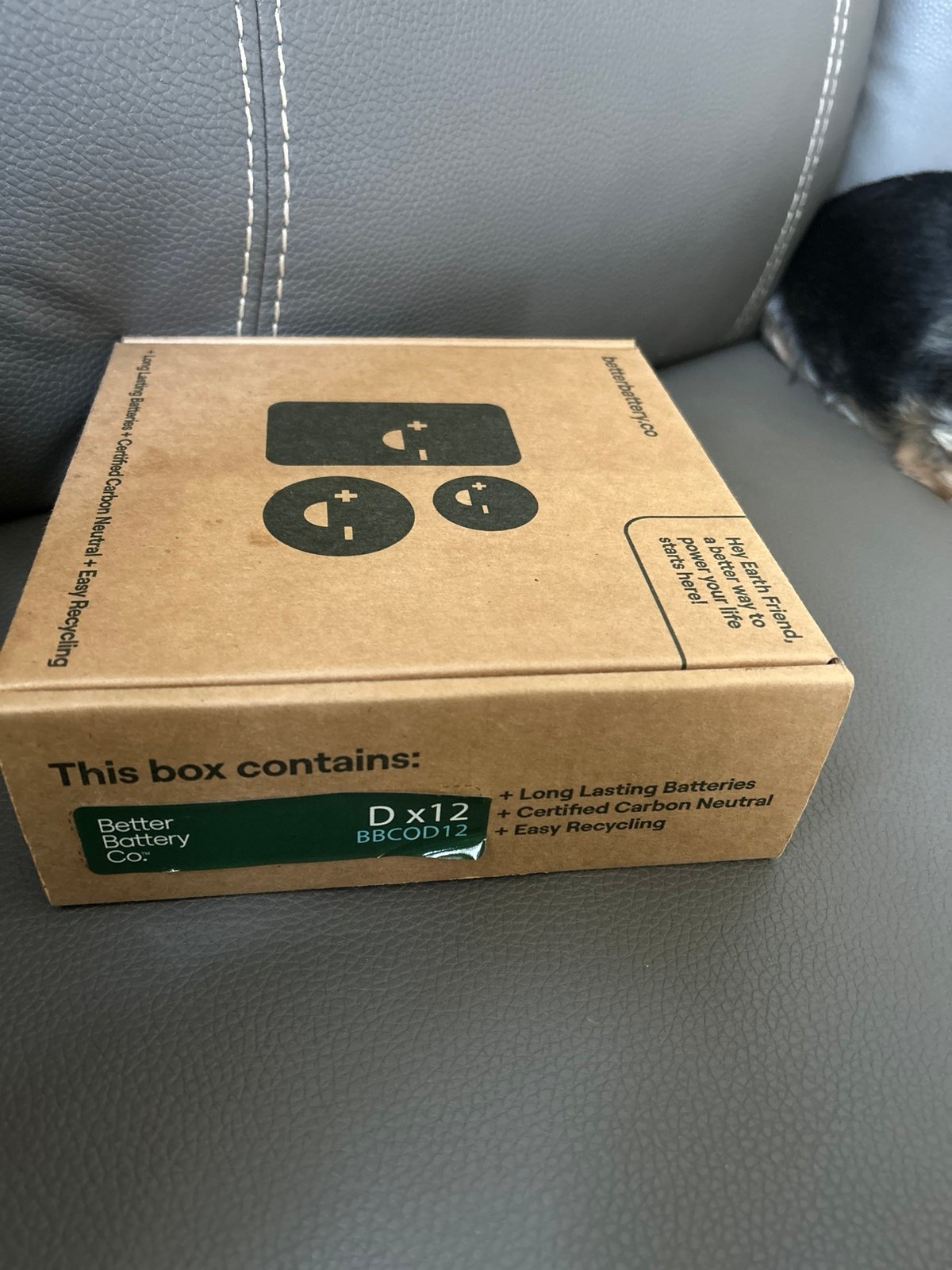 Better battery Co. batteries sz D New box (12)