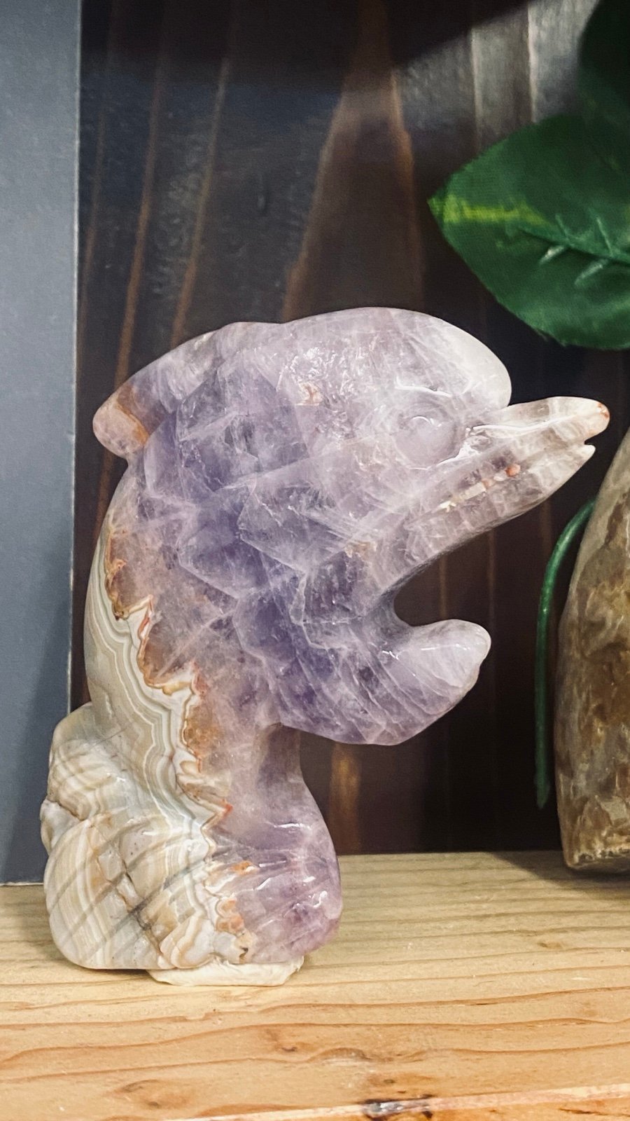 Crazy Lace Agate Amethyst dolphin carving