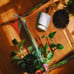 Large Potting Tarp/ Potting Mat/ Repotting Tarp for indoor plants