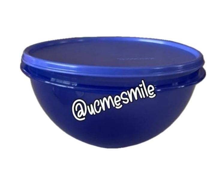 Tupperware Wonderlier Blue Medium Bowl Set