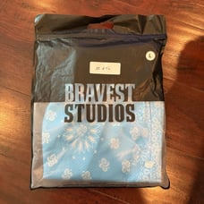 Bravest Studios shorts sz L blue paisley