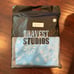 Bravest Studios shorts sz L blue paisley