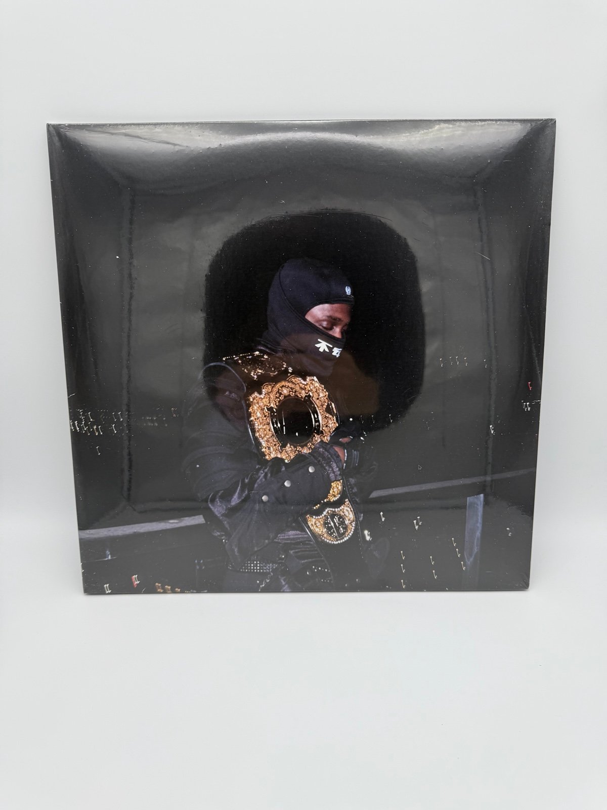 I LAY DOWN MY LIFE FOR YOU Vinyl (Premium)