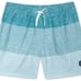 Chubbies Men’s Stretch 5.5 Swim Trunks in The Whale Sharks Print Size M NWT
