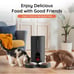 Automatic Cat Feeder for 2 Cats 6L Slow Feeder 5G WiFi Pet Food Dispenser