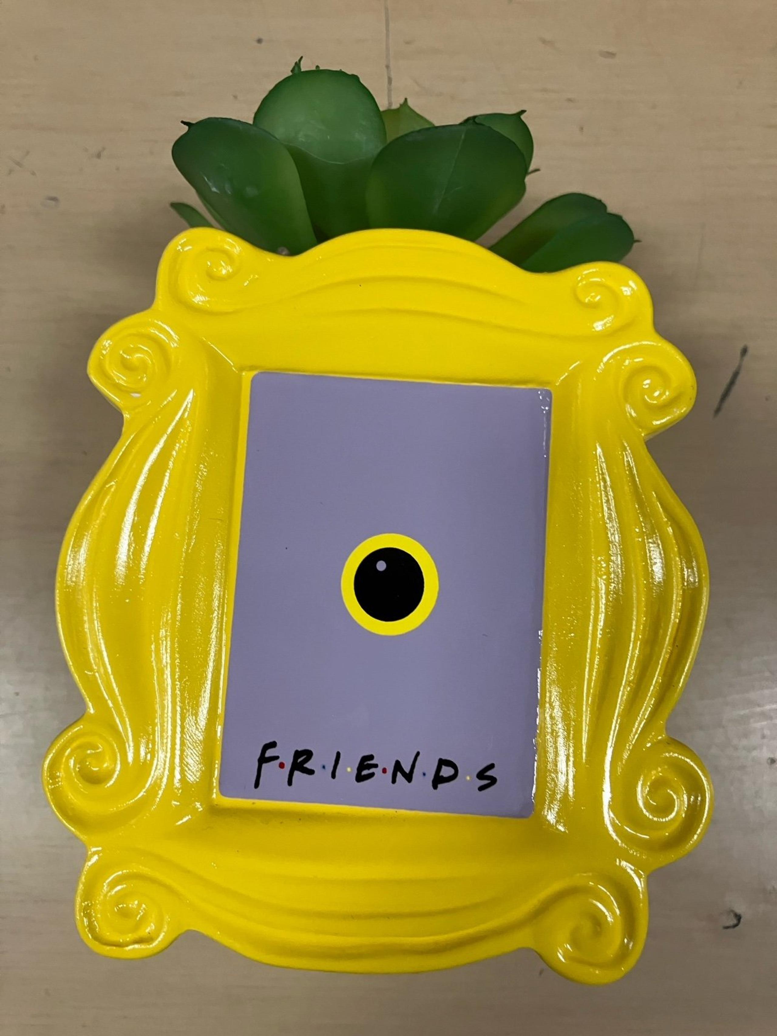 Friends TV Series Mini Succulent Plant