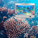Tropical Fish Decorative Mini Aquarium Lamp Night Light with Moving Fish NEW
