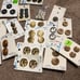 NWT Vintage Button Lot